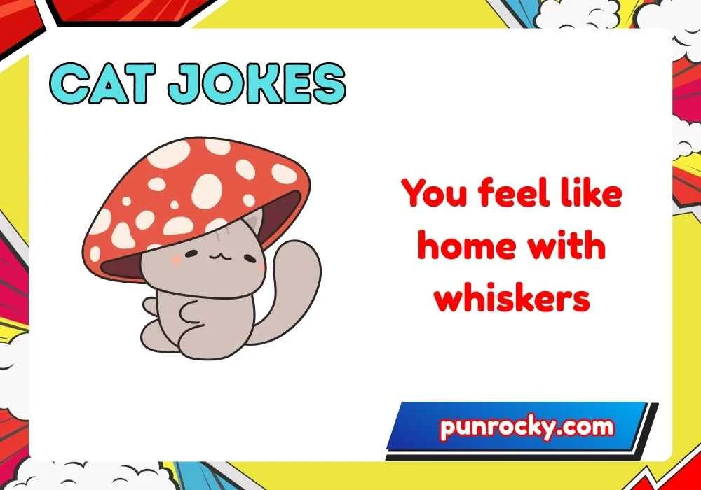 Cat Jokes