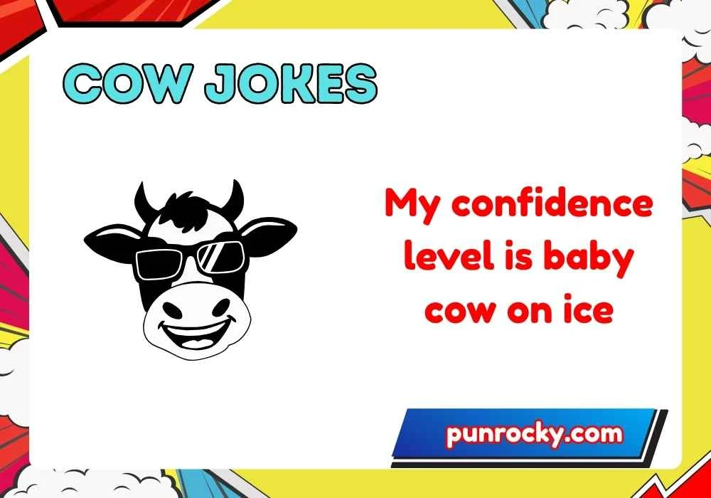 Cow Jokes