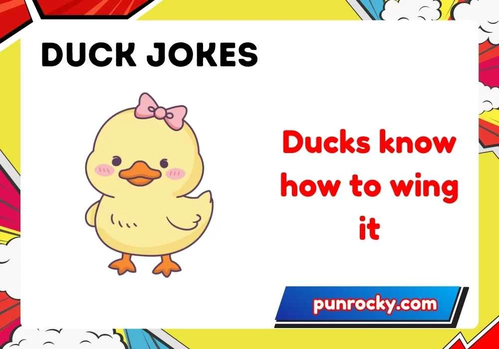 Duck Jokes