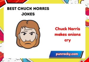 best Chuck Norris jokes
