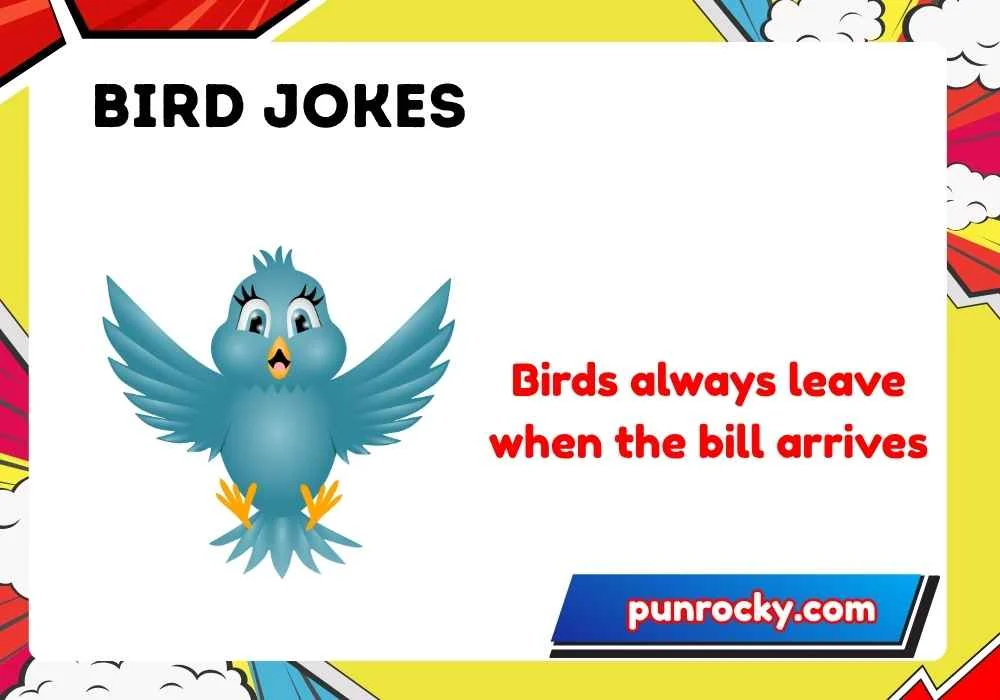 Bird jokes for adults