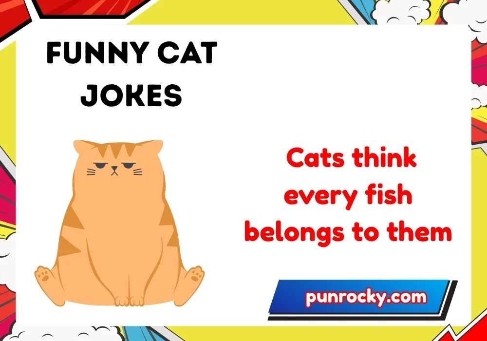 Cat Jokes One-Liners