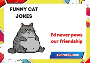 funny cat jokes