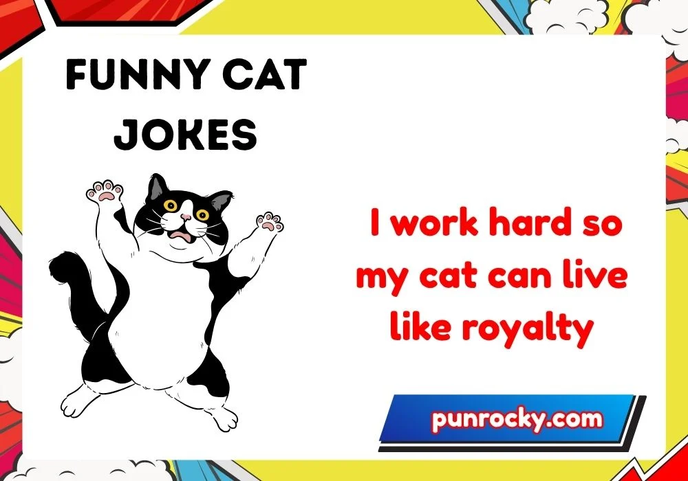Funny Cat Jokes for Adults