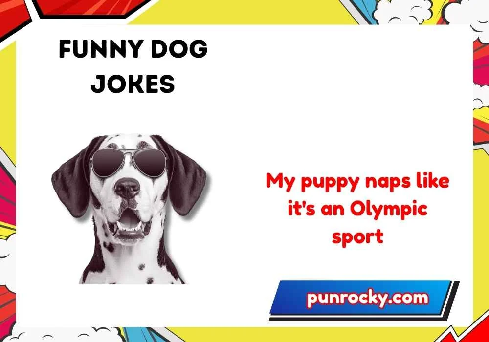Funny Dog Jokes One Liners