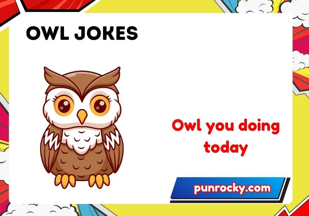 Owl jokes one liners