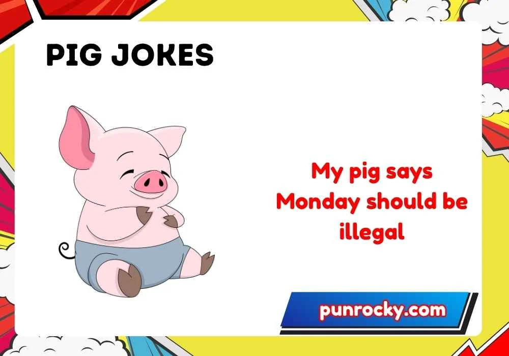 Pig jokes for adults