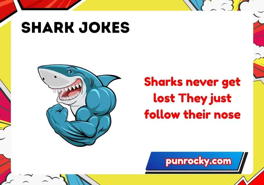 shark jokes
