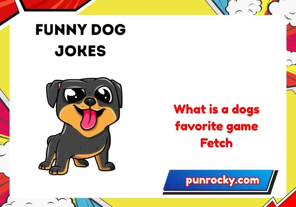 Short Funny Dog Jokes