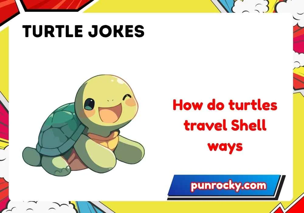 Turtle jokes for kids