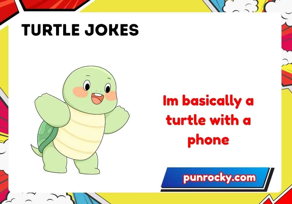 Turtle jokes one liners