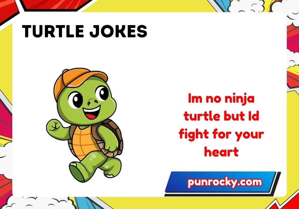 turtle jokes