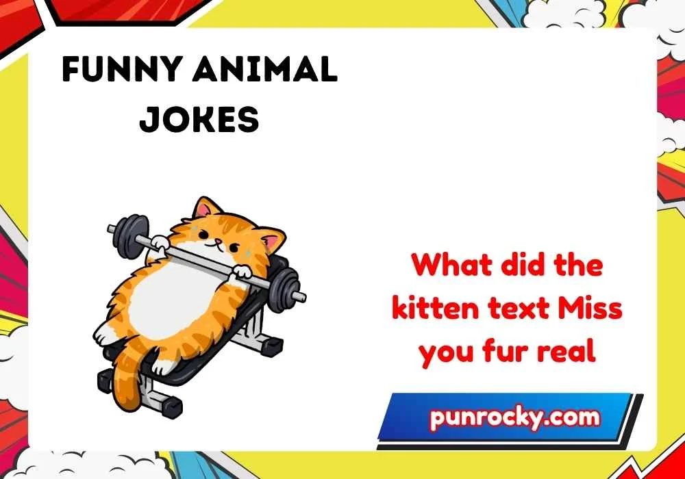 funny animal jokes