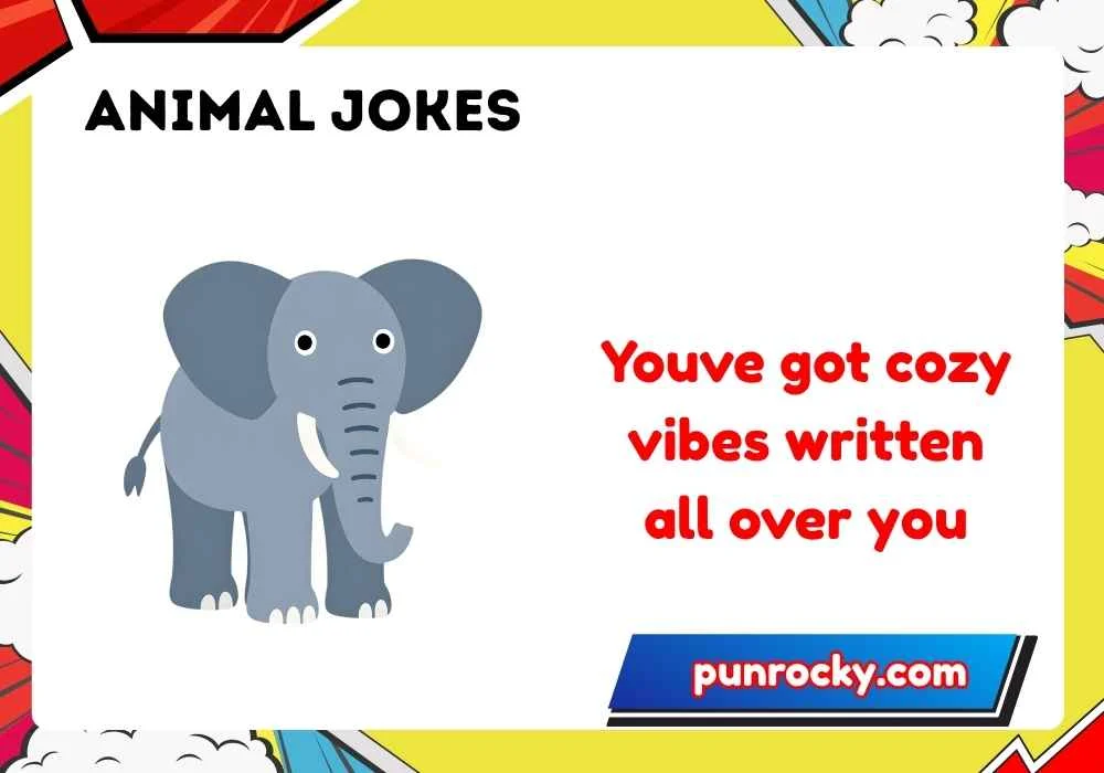 Summer Animal Jokes