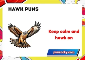 hawk puns