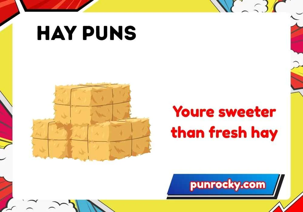 Hay Puns