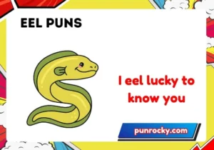 Eel Puns