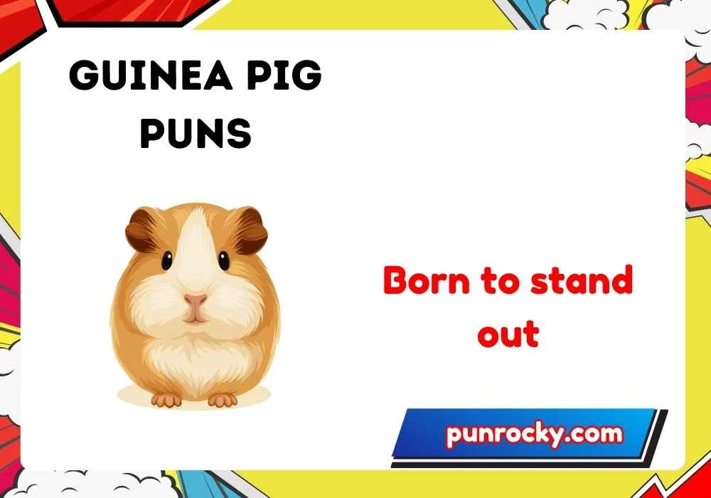 guinea pig puns