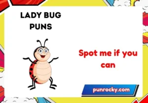 lady bug puns