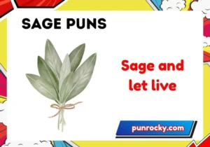 sage puns