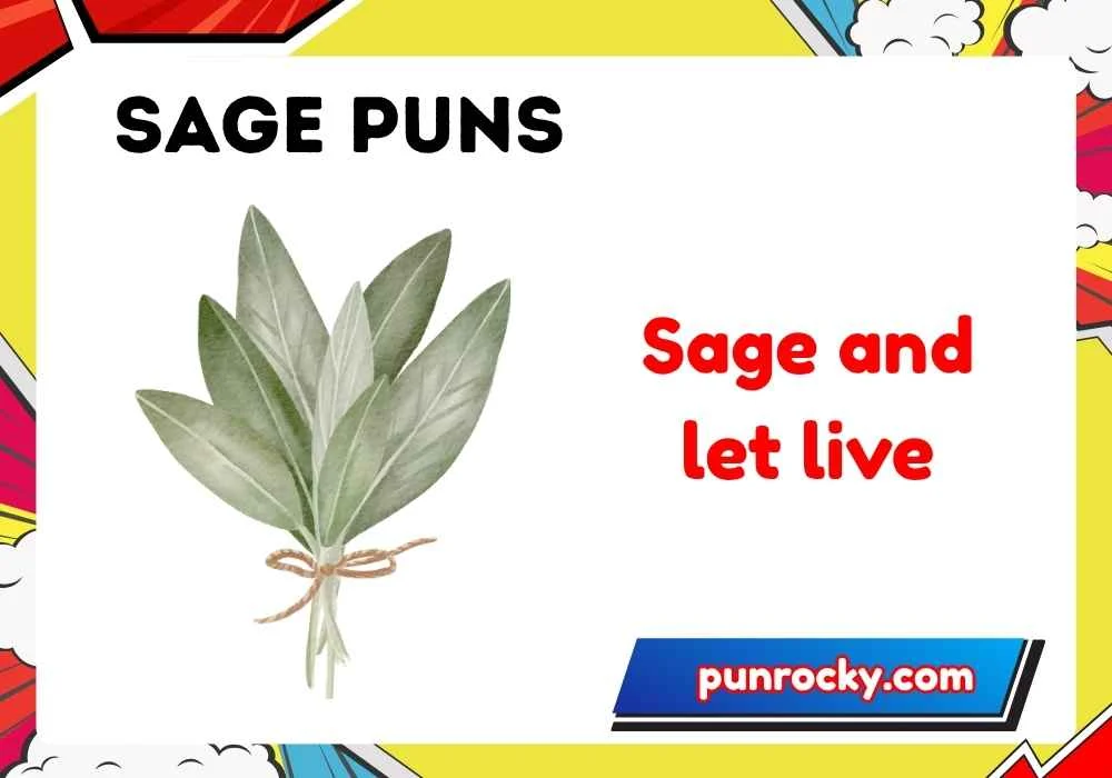 sage puns