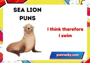 sea lion puns